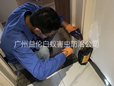 橋南住宅白蟻防治工程